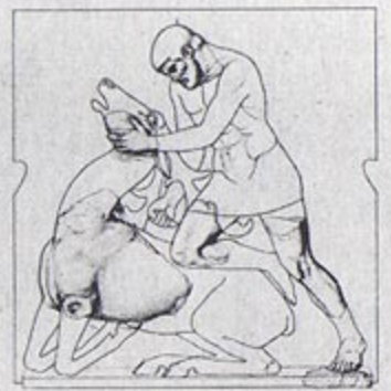 Golden Hind metope