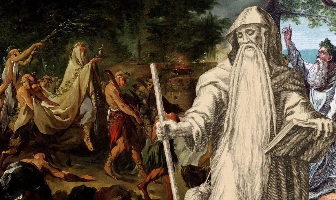 Artist's depiction of a Druid