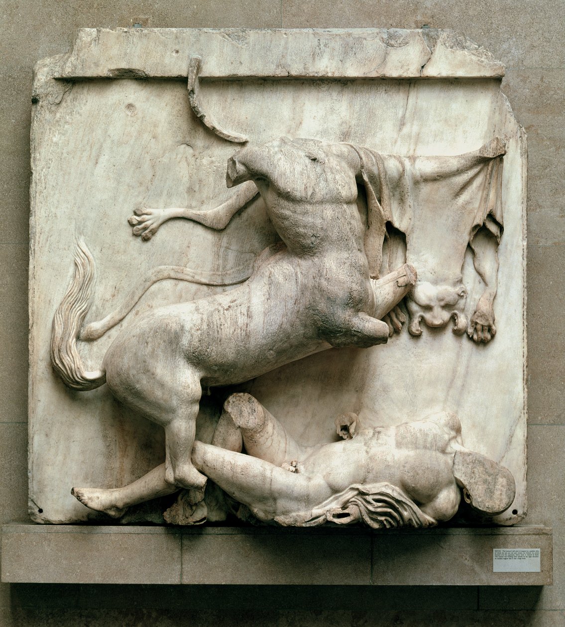 Parthenon Centauromachy metope